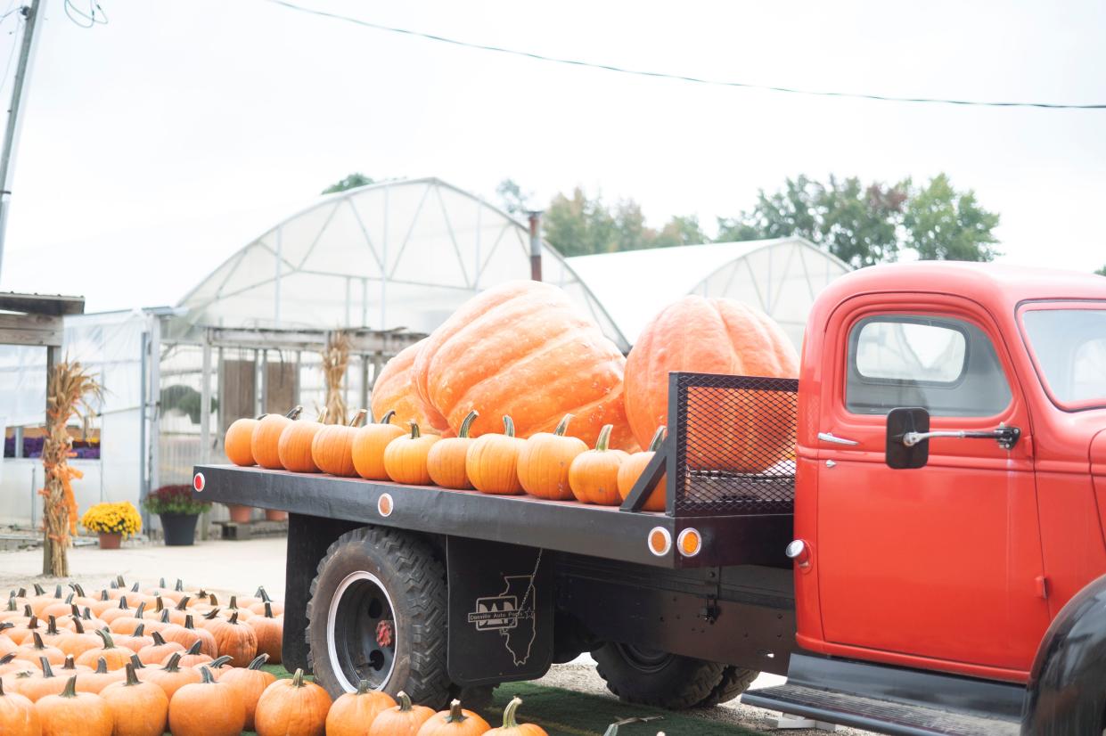 Pumpkins on display outside of Gull Meadow Farms in Richland on Monday, Sept. 25, 2023.