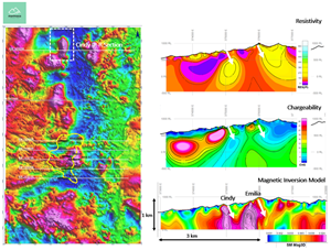 Location of IP Line and Resistivity, Chargeability and Mag Inversion Sections for Cindy Target