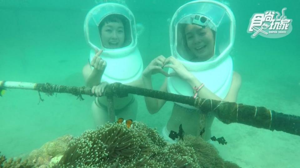 先收進旅行清單裡！泰國３大獨家玩法：海底漫步、夜遊動物園、泰式古裝寫真