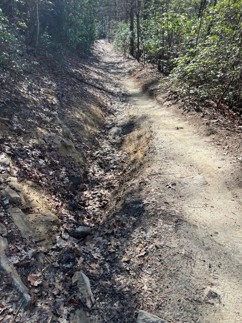 Parts of Hooker Creek Trail in DuPont State Recreational Forest have washed away due to erosion.