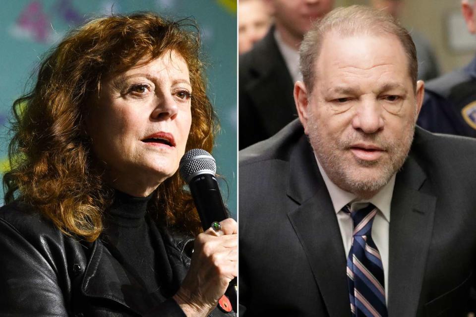 <p>Stephen Lovekin/Shutterstock; Erik Pendzich/Shutterstock</p> Susan Sarandon on March 17, 2024 and Harvey Weinstein