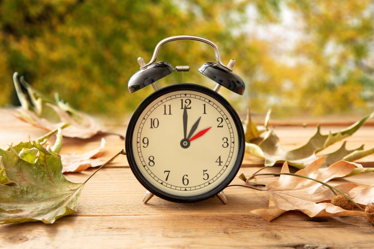 Time change 2024 says fall back in November! When clocks turn for