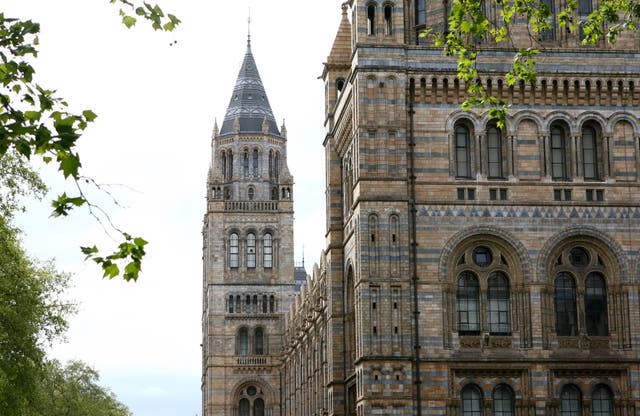 London museum 