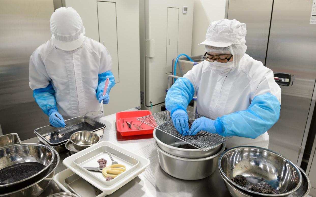 Workers process food at a caviar plant in Japan - Akio Kon