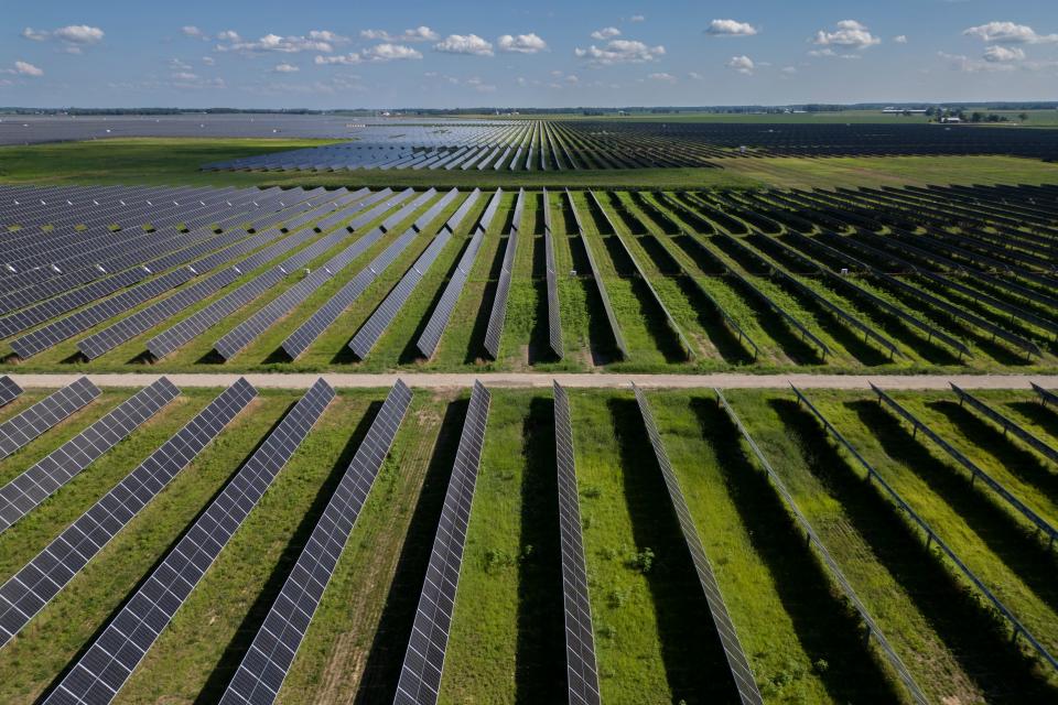 Crops grow between the rows of solar panels at Madison Fields Solar Farm. Ohio State researchers studying agrivoltaics, the use of agriculture in solar fields, have partnered with Savion, operator of the 180-megawatt solar facility, to try to tackle the issue of solar on prime farmland.
