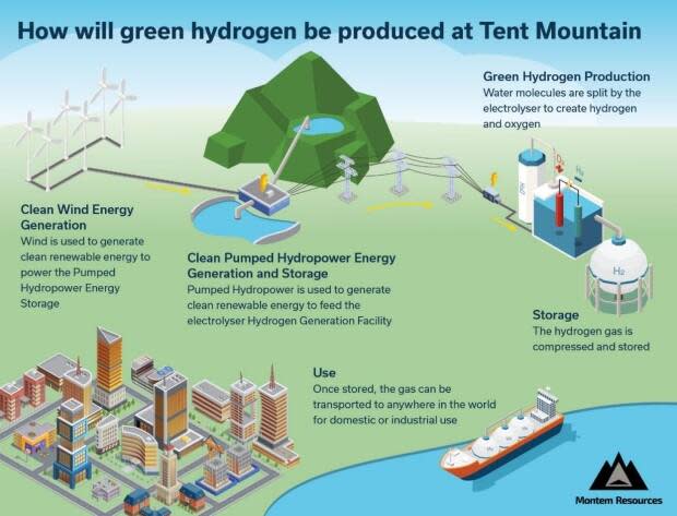 Montem Resources