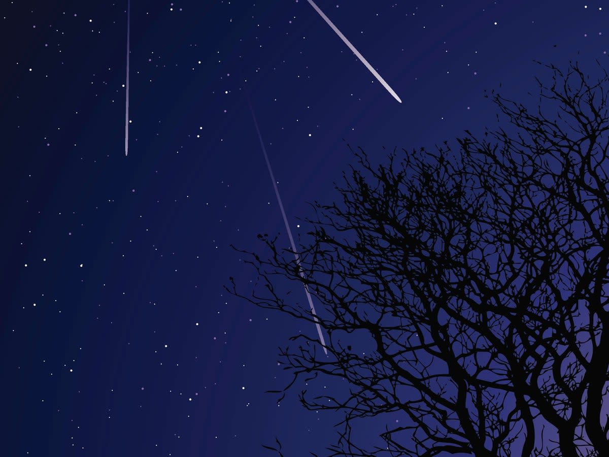 The Perseid meteor shower is set to peak on 12 August, 2023  (Getty Images/iStockphoto)