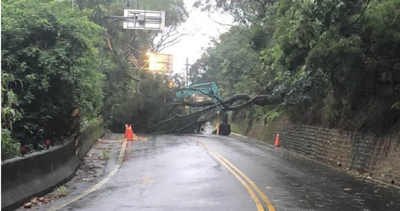 彰化縣員林市員草路7日深夜大雨一棵巨大路樹應聲倒塌，阻斷道路，直到清晨6點才完成排除。（圖／報系資料照）