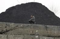 A North Korean man sits beside a pile of coal on the bank of the Yalu River in the North Korean town of Sinuiju in this December 16, 2006 file picture. REUTERS/Adam Dean/Files