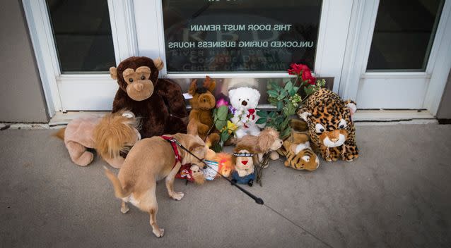 Walter Palmer, a lifelong big-game hunter and dentist from Minnesota, sparked a global controversy when he killed Cecil. Photo: Getty