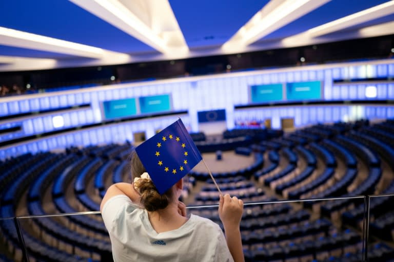 Una persona sostiene una bandera de la Unión Europea el 9 de junio de 2024 en el Parlamento Europeo de Estrasburgo, en Francia (Sébastien Bozon)