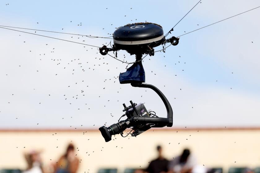 INDIAN WELLS, CALIFORNIA - MARCH 14: An invasion of bees suspends play between Carlos Alcaraz of Spain and Alexander Zverev of Germany during the BNP Paribas Open at Indian Wells Tennis Garden on March 14, 2024 in Indian Wells, California. (Photo by Matthew Stockman/Getty Images)