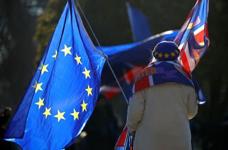 A pro-EU supporter holds flags outside the Houses of Parliament in Westminster London, Britain, December 13, 2018. REUTERS/Phil Noble