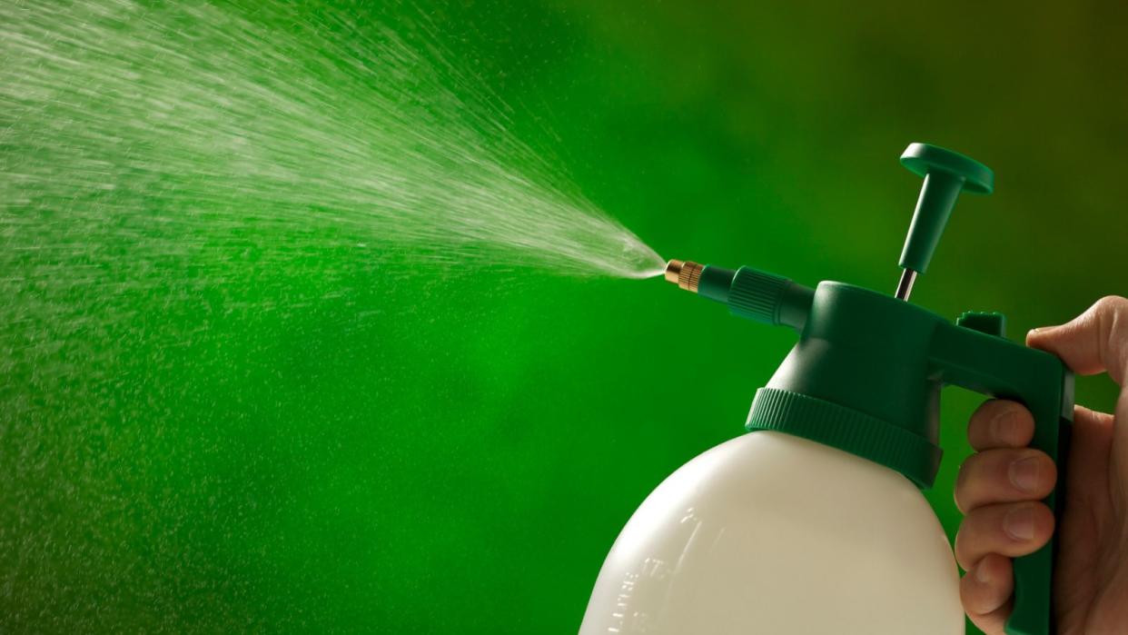  Weed killer being sprayed from a bottle with green background 