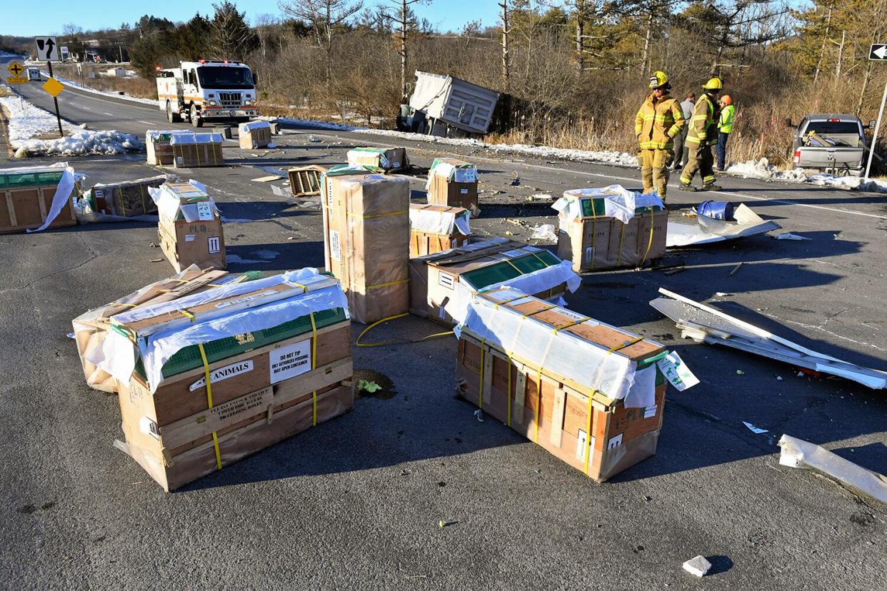 Truck with 100 Monkeys Crashes in Penn. — and Each Primate Is Found After 3 Went Missing