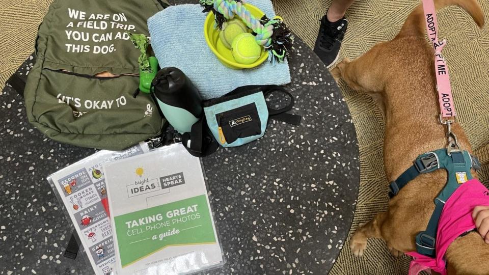 The Hawaii Island Humane Society supplies backpacks with all the gear needed for a dog field trip.