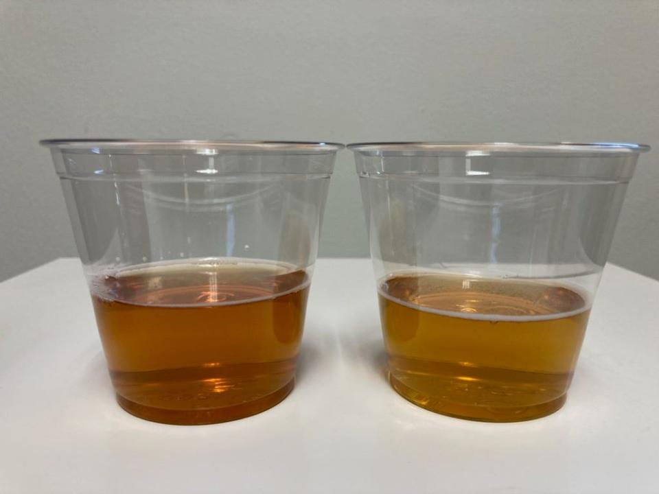 A comparison of New Belgium Brewing Co.'s  original (left) and new (right) Fat Tire beer. The new recipe is designed to be a lighter, easy drinking ale compared to the original amber ale.