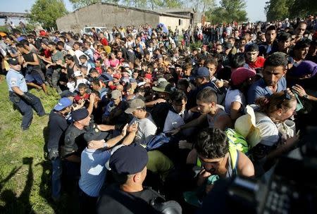 Migrants push policemen during a stampede to board buses in Tovarnik, Croatia September 17, 2015. REUTERS/Antonio Bronic