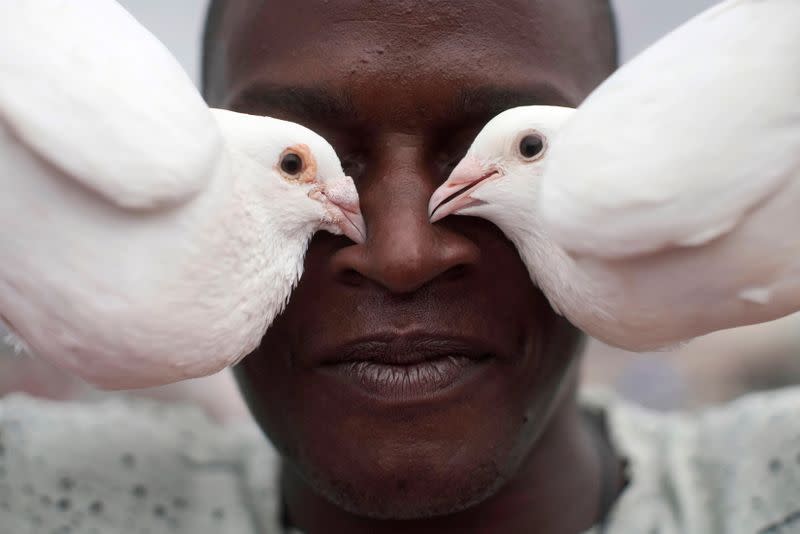 Cubanos recurren a la cría de palomas como escape en medio de la pandemia del coronavirus