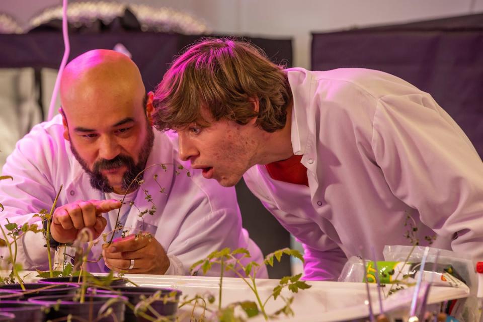 Prof. Michael Budziszek and a Johnson & Wales cannabis entrepreneurship student examine a tomato plant in the grow lab. Because of university regulations, students cannot grow marijuana, but instead study similar plants.
