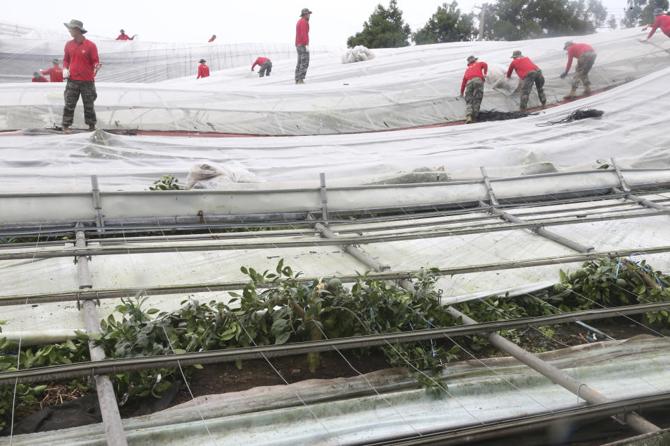 South Korean marine soldiers work to recover farming greenhouses after Typhoon Lingling struck Jeju Island, South Korea, Sunday, Sept. 8, 2019. South Korea on Sunday was surveying the impact of one of the most powerful typhoons to ever hit the Korean Peninsula, but the country appears to have escaped widespread damage. (Go Sung-shick/Yonhap via AP)