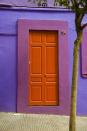 <p>A bright orange door framed by pretty shades of purple.</p>