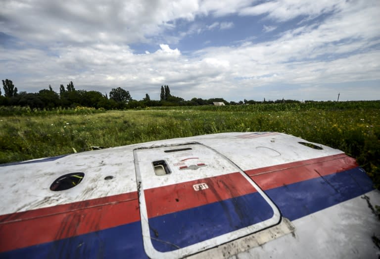 A piece of wreckage from Malaysia Airlines Flight MH17 in Ukraine's Donetsk region on July 20, 2014