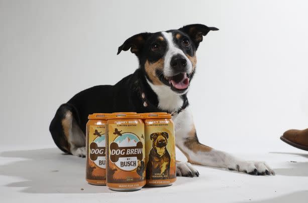 Turkey Beer For Dogs