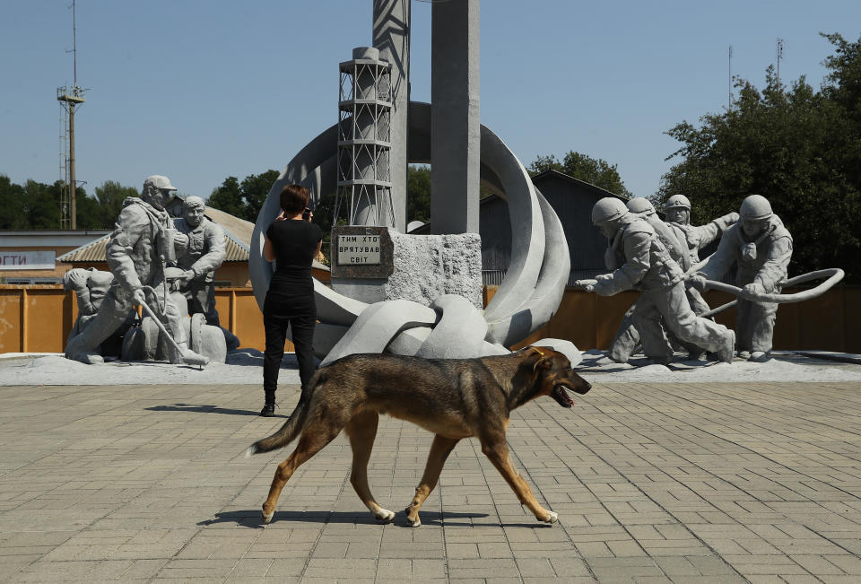 A tagged, stray dog walks past a tourist at a monument to firefighters who fought to contain the 1986 Chernobyl nuclear disaster inside the exclusion zone near the Chernobyl nuclear power plant on August 19, 2017.&nbsp;