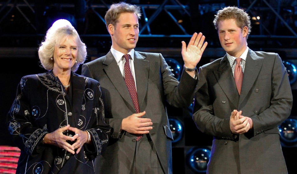 Camilla (L), the Duchess of Cornwall stands on stage with Prince William (C) and Prince Harry at the Princes Trust 30th Birthday concert at the Tower of London in London May 20, 2006.