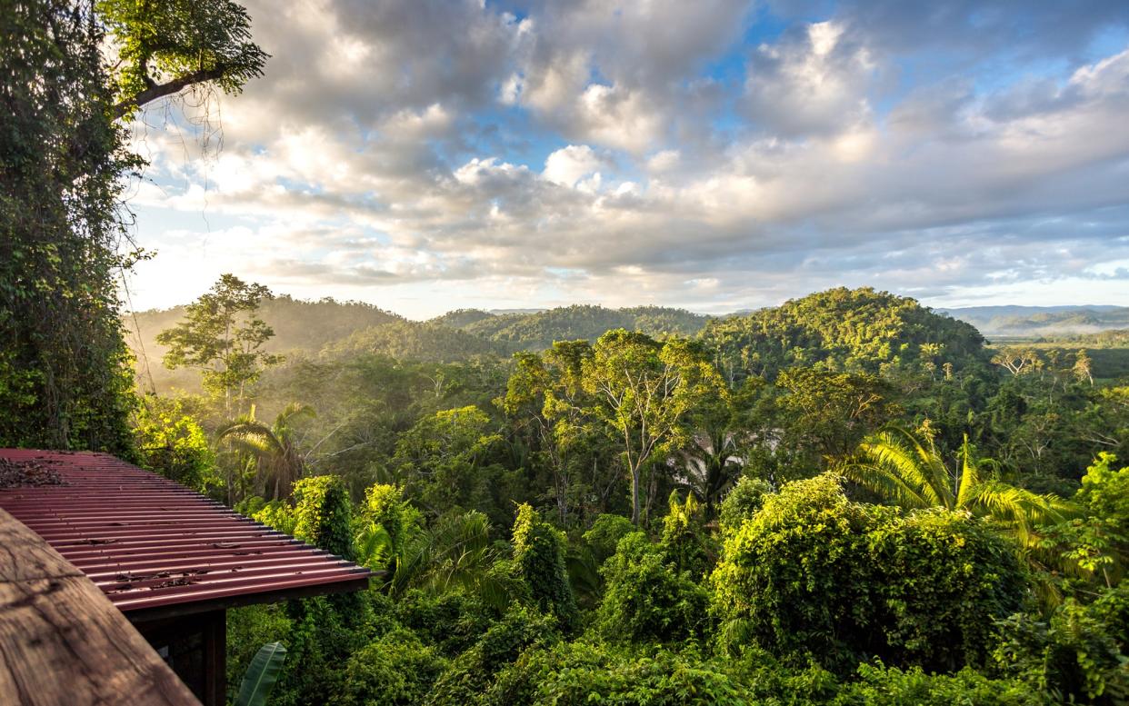 Explore ancient Mayan ruins in the rainforest of Belize - Michael Godek