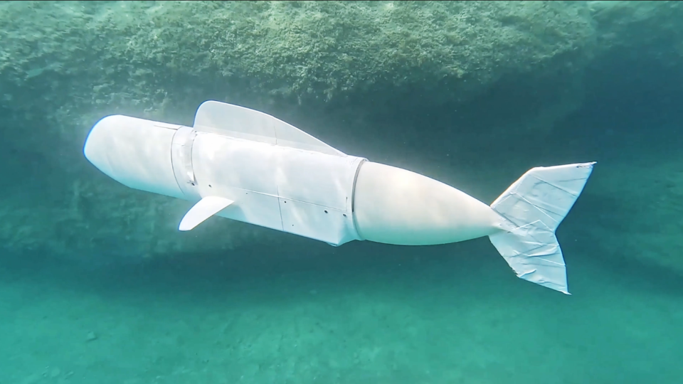 Ein von Studierenden der ETH Zürich entworfener und entwickelter Fischroboter – SURF eDNA