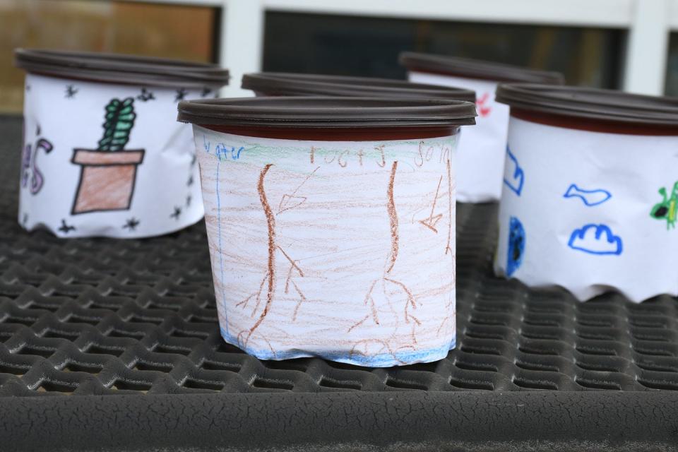 Students got hands-on with plants as they grew parsley in their own pots.