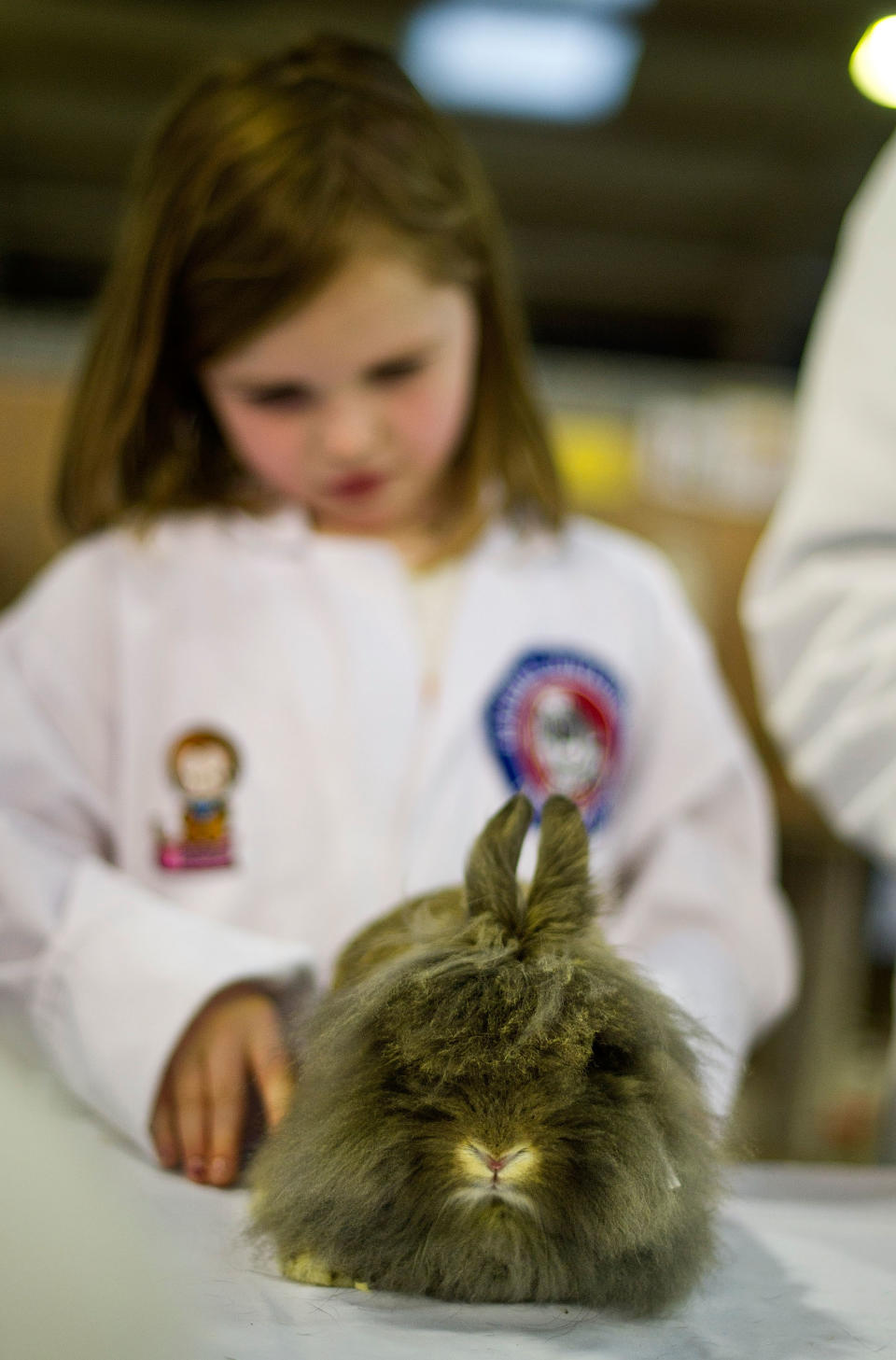 Animal Enthusiasts Enjoy The UK's Rabbit Grand National