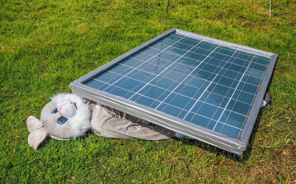 A protester dressed as a rabbit 'trapped' under a solar panel