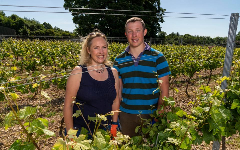 Mother and son vineyard volunteers Becky and Jonty Bryant - Andrew Crowley/The Telegraph