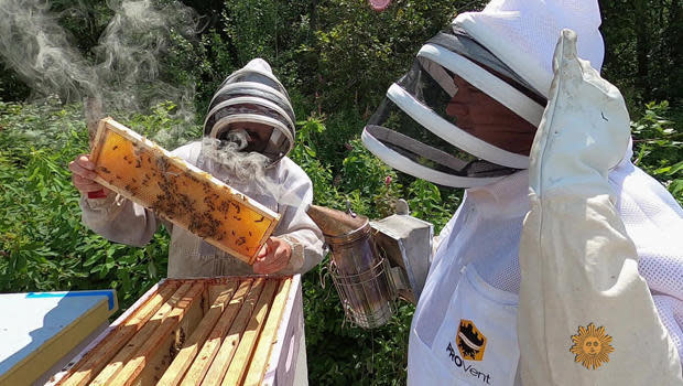 Beekeeper Ted McFall and correspondent Luke Burbank check on McFall's bee hives. / Credit: CBS News