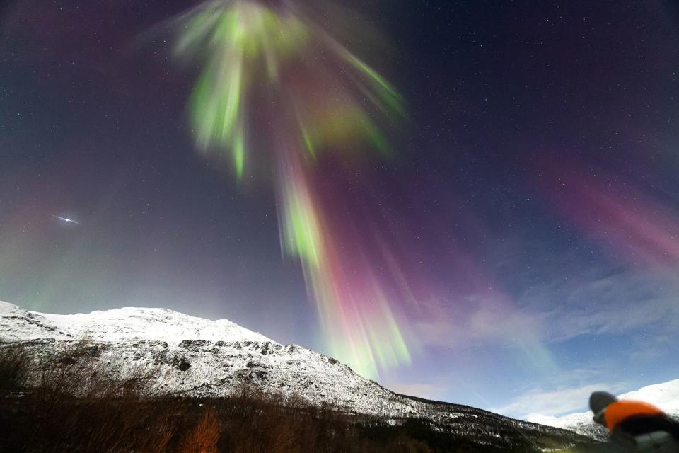 hurtigruten norway northern lights