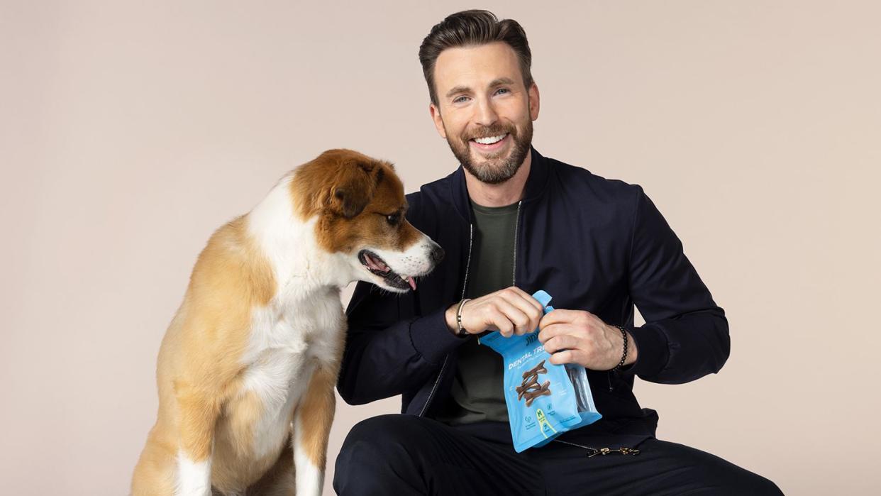 Chris Evans Says His Pet Dodger Is ‘a Cut Above the Average Dog’: ‘I'm Probably Biased’