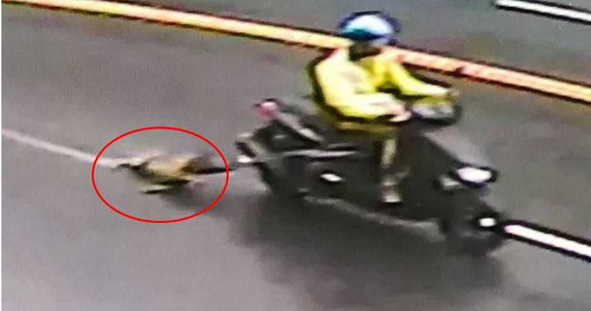 男子騎車拖狗引爆網友怒火。（圖／翻攝自「有點毛毛的」臉書）