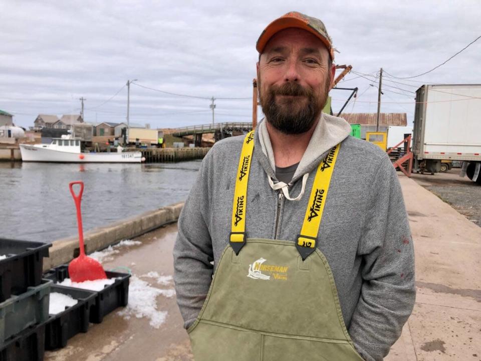 Lobster buyer Jason MacCormack said he estimates there is more than two metres of moss on the east side of the wharf which has never happened before. (Jessica Doria-Brown/CBC - image credit)