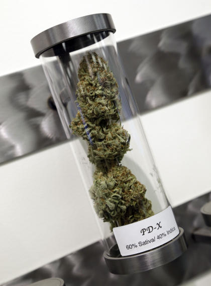 A sample of medical marijuana is displayed at a dispensary in Portland, Ore., Nov. 5, 2014. (AP Photo/Don Ryan)