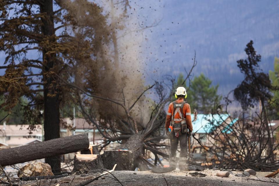 On Wednesday, July 31, 2024, a dangerous tree will be felled in the community of Jasper.