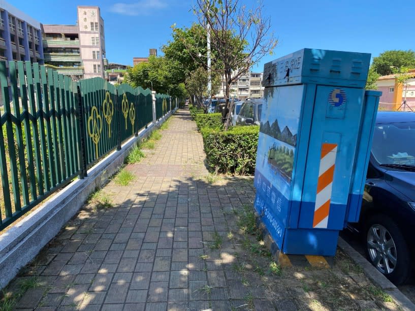 樹根部隆起、竄根，占據人行道造成人行道鋪面破損、不平整。（金山區公所提供）