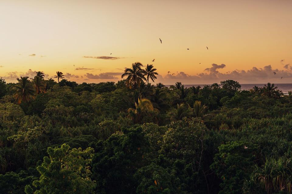 Nukutepipi, a luxurious private island and villa in the Pacific Ocean, crystal blue waters