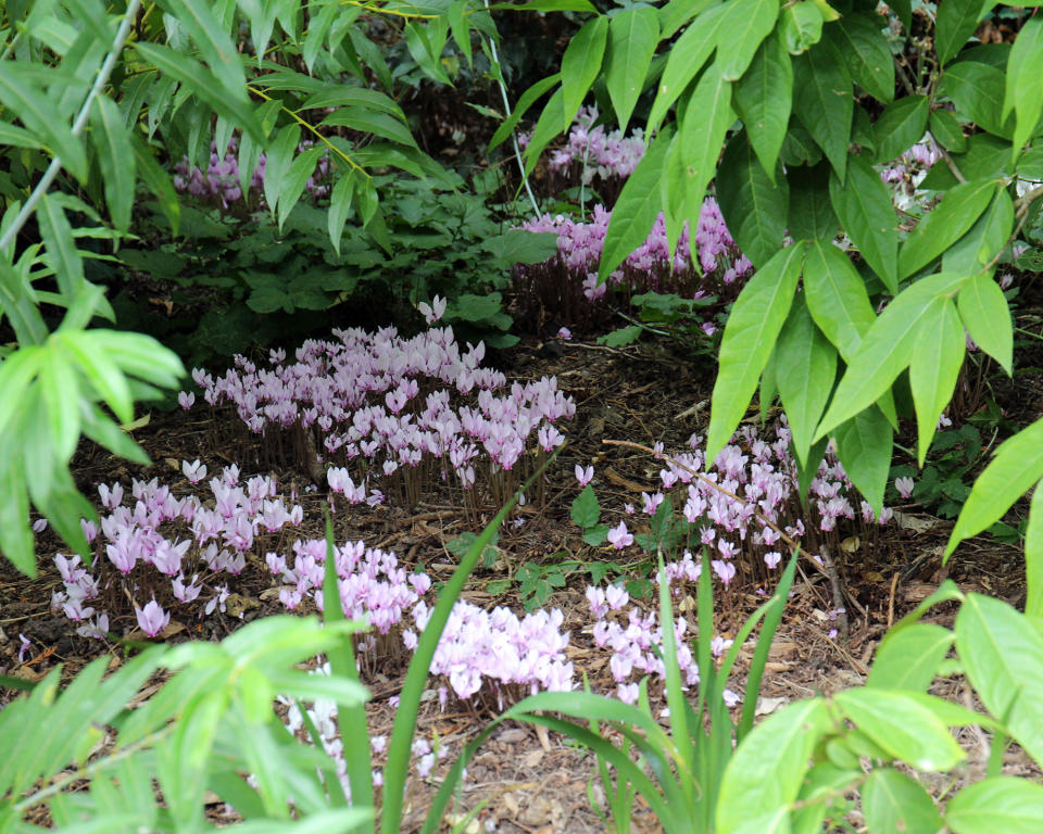 3. Introduce wood chips for a magical woodland