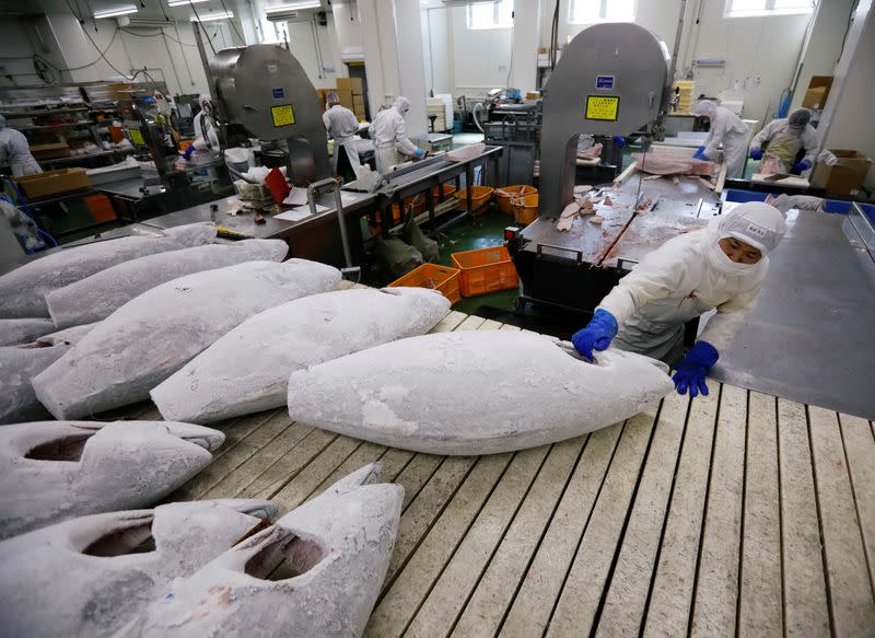 Employees of Misaki Megumi Suisan Co. process frozen tuna for shipping in Miura, Japan