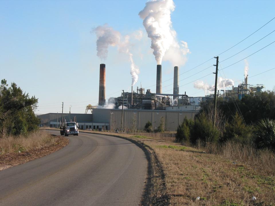 An empty log truck drives away from the Buckeye Florida pulp mill near Perry in this file photo. The mill grinds pine trees to produce cellulose that is used in products including food thickeners and automotive filters. The Foley Cellulose mill in Perry, Florida, announced on Sept. 18, 2023, that Georgia-Pacific plans to permanently close the plant.