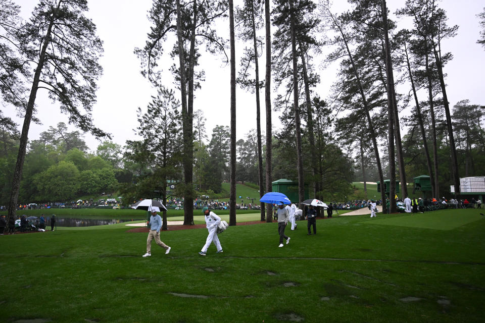 The pines at Augusta National, seen here in 2023. (Photo by Ross Kinnaird/Getty Images)