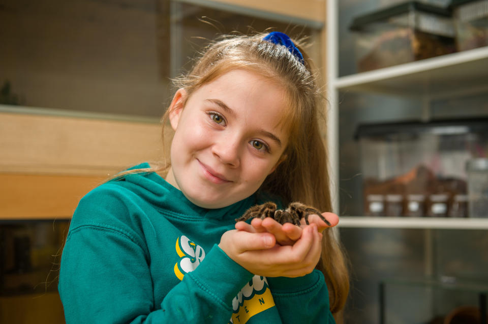 Meet the eight-year-old conservationist who loves spiders so much that she shares her bedroom - with more than 50 of them. Hollie Greenhalgh also keeps two snakes and a scorpion as well as enclosures full of millipedes, grasshoppers, cockroaches and snails in her own impressive mini zoo. The exotic pets are kept in separate enclosures and Hollie spends around three hours every weekend feeding them all. The youngster, who aspires to be the next David Attenborough, hosts her own educational YouTube channel which has more than 6,000 subscribers.